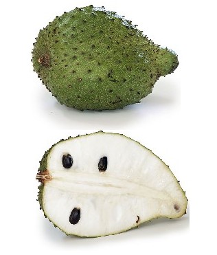 Soursop